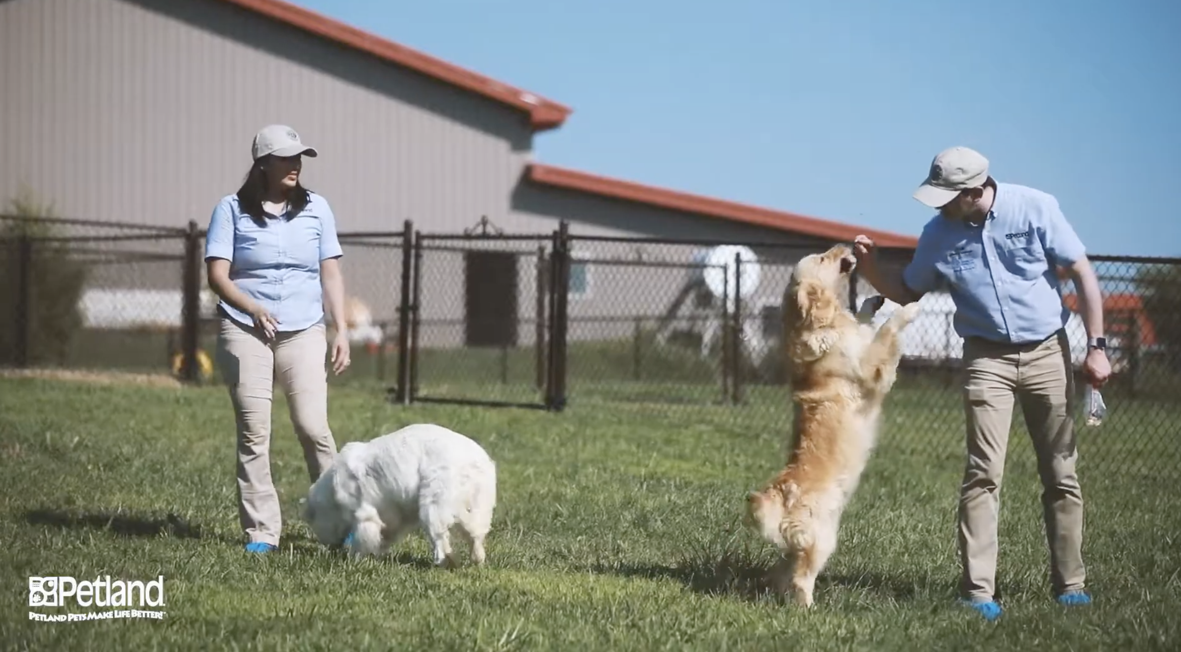 USDA Licensed Breeders